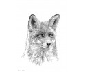 Grafika na płótnie Canvas FOX ONWALL - czarno-biała, 70x100cm
