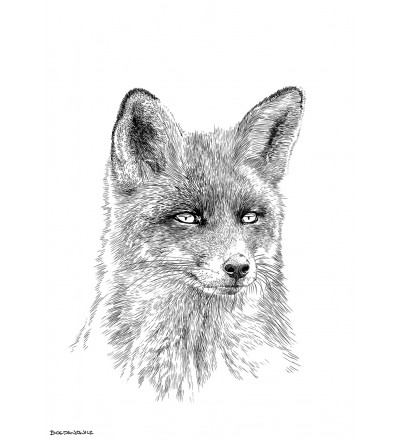 Obraz FOX ONWALL - czarno-biały, 75x100cm