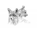 Tapeta / mural FOX LYNX ONWALL - czarno-biała, 3x3m