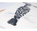 Obraz HOOPE ONWALL - czarno-biały, 120x160cm