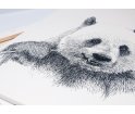Obraz PANDA ONWALL - czarno-biały, 50x70cm