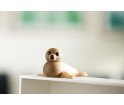 Dekoracja drewniana Mała Foczka / Baby Seal Spring Copenhagen