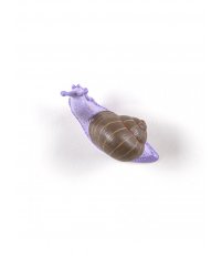 Wieszak ścienny Snail Slow Seletti - pomalowany, powolny ślimak
