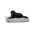Legowisko dla psa DOGit Cobana SACKit - 3 wielkości
